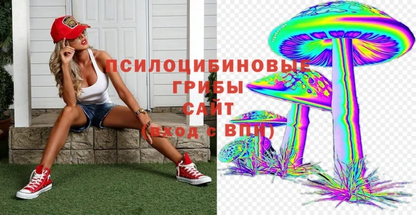 дмт Бородино